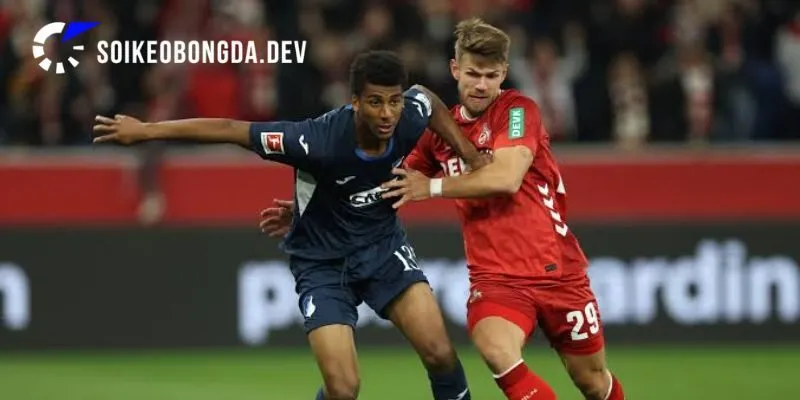 Thực lực khác biệt của FC Cologne vs Hoffenheim